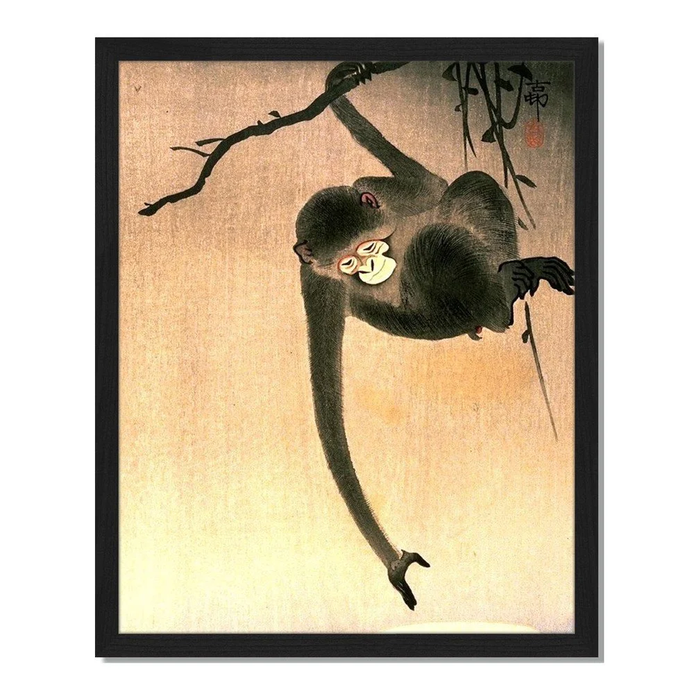 Obraz v rámu Liv Corday Asian Tree Monkey, 40 x 50 cm v:885850