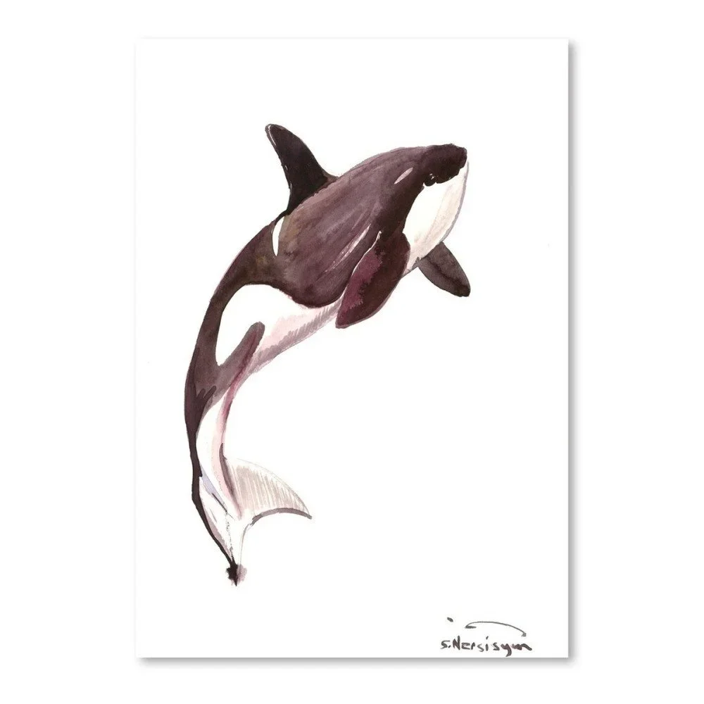 Autorský plakát Orca od Surena Nersisyana, 30 x 21 cm v:758614
