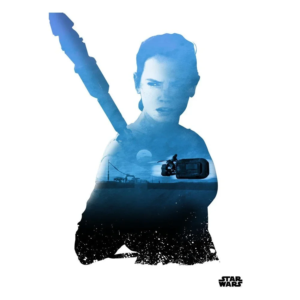 Nástěnná cedule Resistance vs First Order v:707134