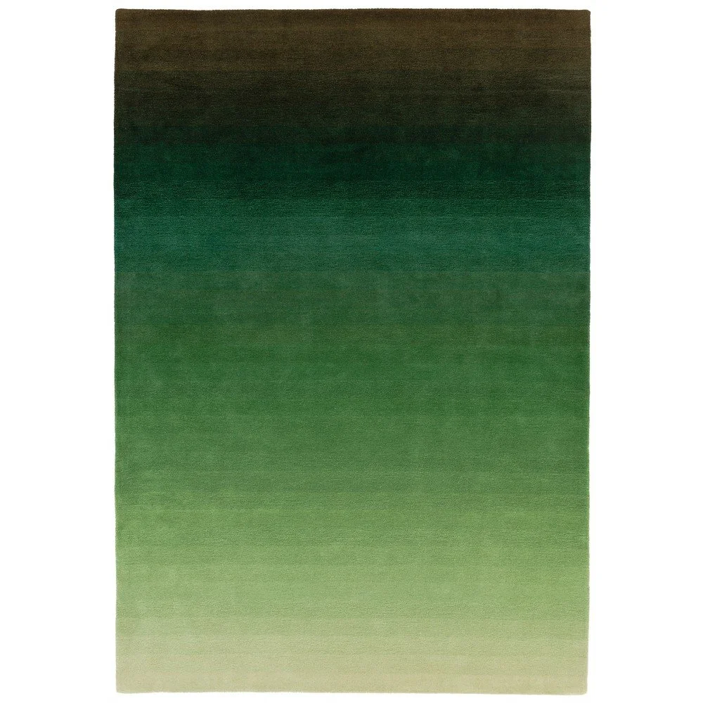 Zeleno-šedý koberec Asiatic Carpets Ombre, 120 x 170 cm v:1334476