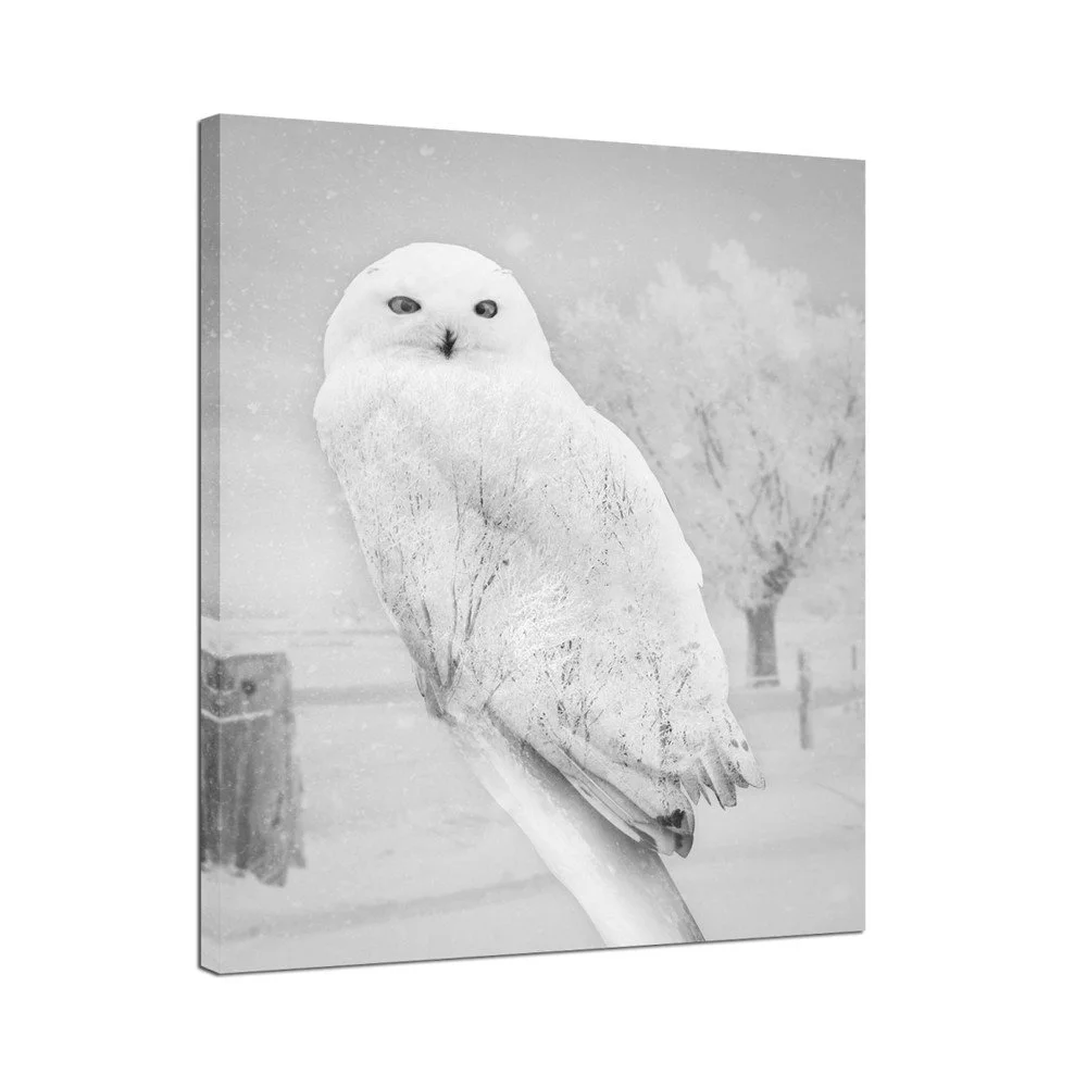 Obraz Styler Canvas Nordic Owl, 75 x 100 cm v:1144926