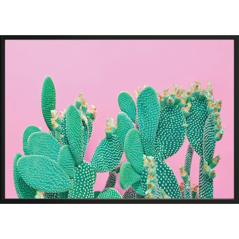 Nástěnný plakát v rámu CACTUS, 50 x 70 cm v:1343041