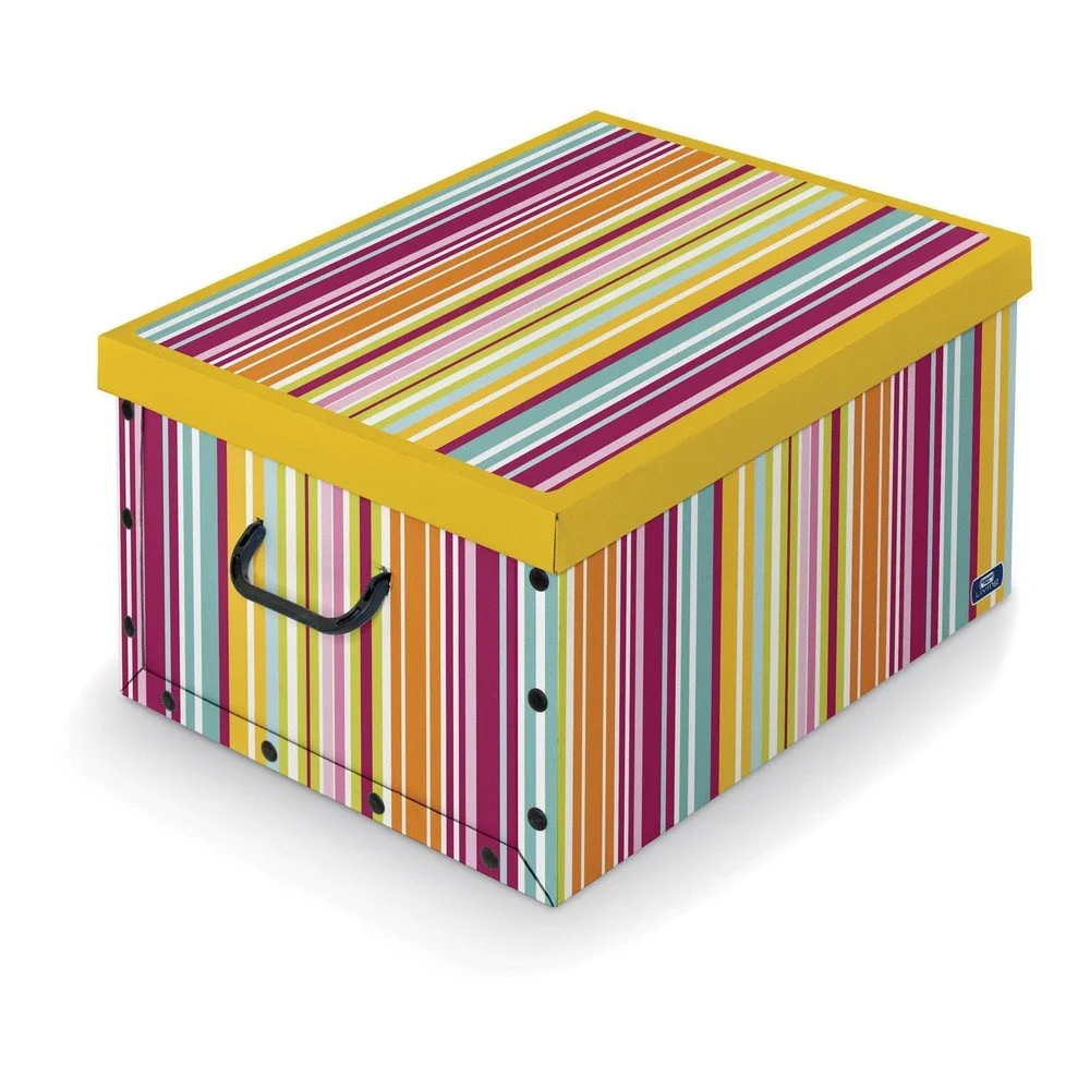 Barevný úložný box Domopak v:773734