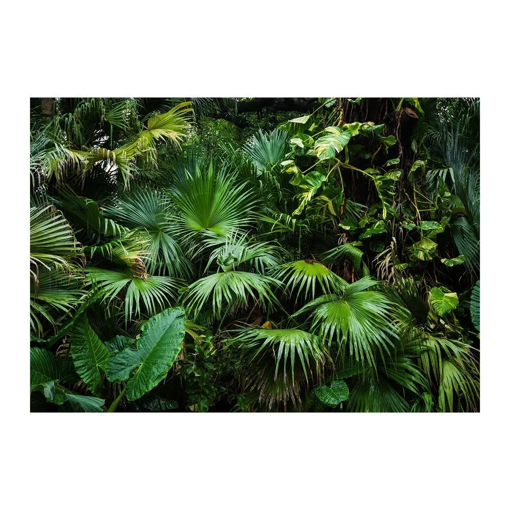 Velkoformátová tapeta Artgeist Sunny Jungle, 400 x 280 cm v:1328652