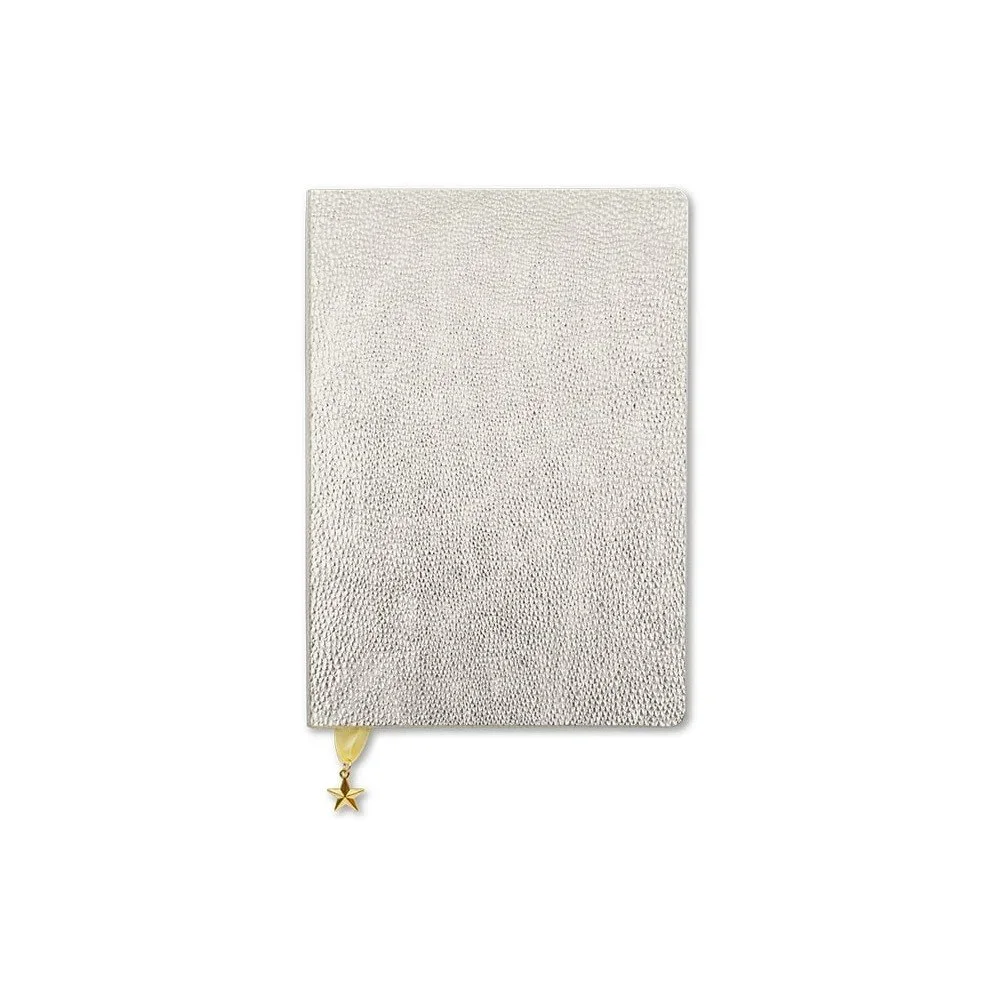 Zápisník ve stříbrné barvě A5 GO Stationery All That Glitters Metalic v:1232416