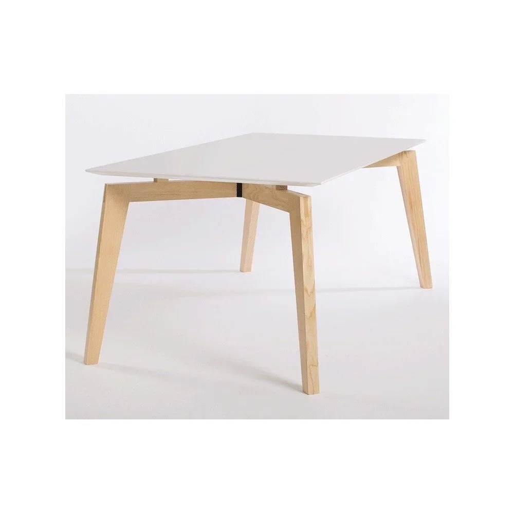 Jídelní stůl Ellenberger design Private Space, 180 x 90 cm v:750964