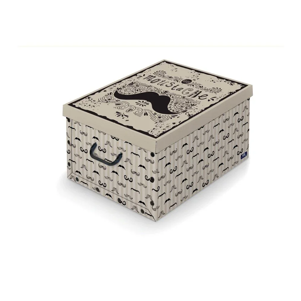 Úložný box s rukojetí Domopak Mustache, délka 50 cm v:1184862