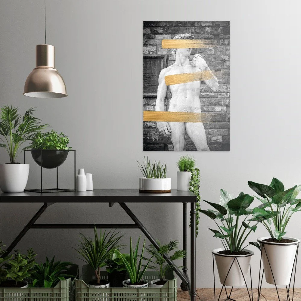 Obraz na plátně OrangeWallz David, 60 x 90 cm v:1144434