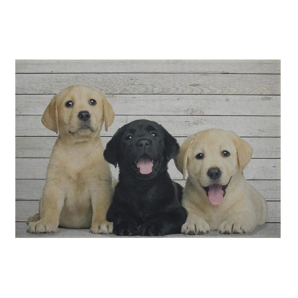 Předložka Mars&More Labrador Puppies, 75 x 50 cm v:772298