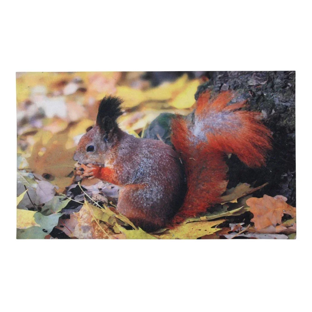 Podložka pod litinovou rohožku z recyklovaného kaučuku Esschert Design Nature v:1184102