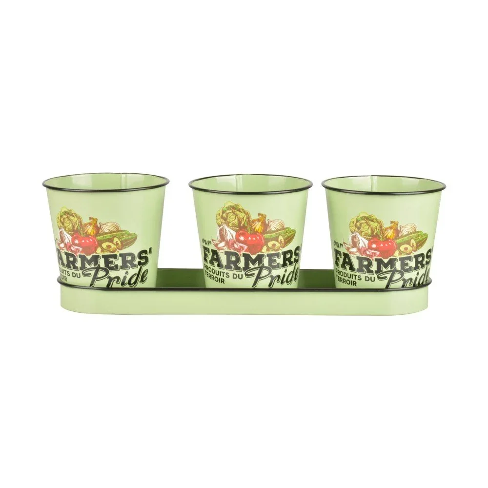 Set 3 květináčů na bylinky Ego Dekor Farmers v:1250838
