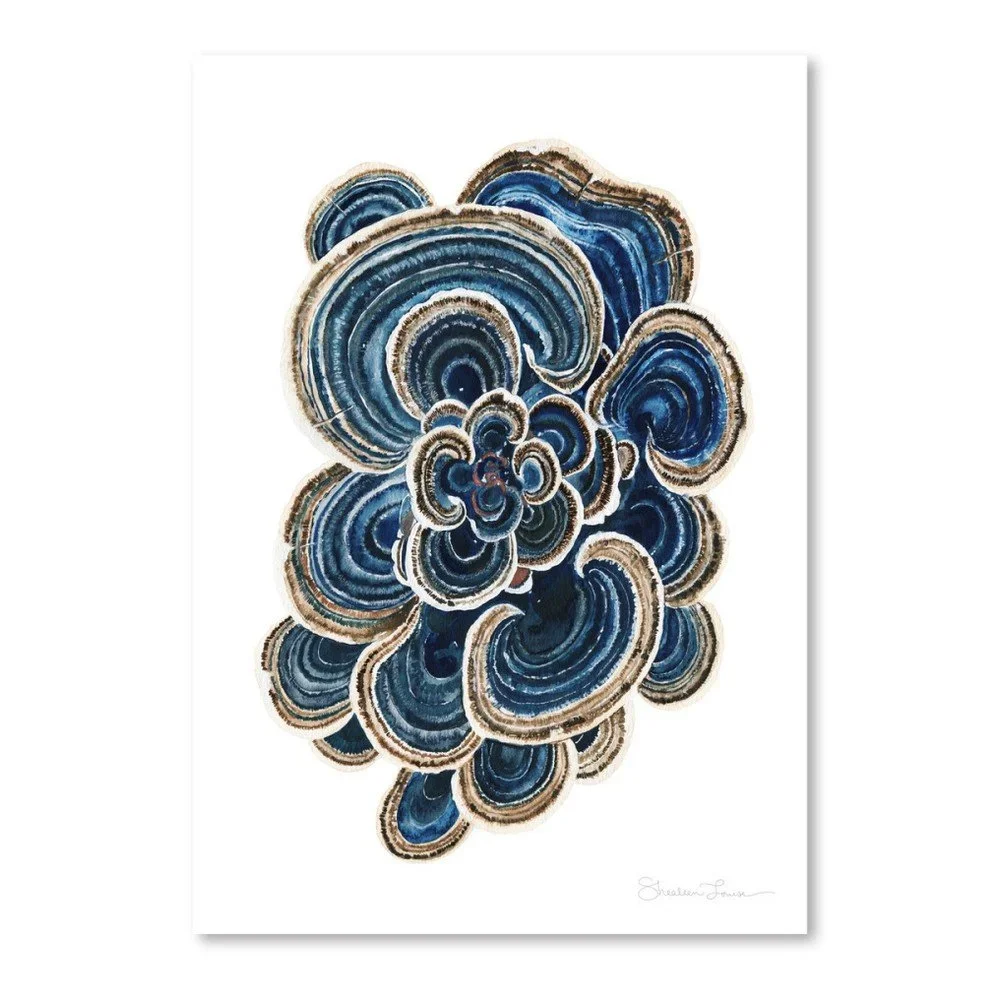 Plakát Americanflat Blue Trametes Mushroom by Shealeen Louise, 30 x 42 cm v:1120570