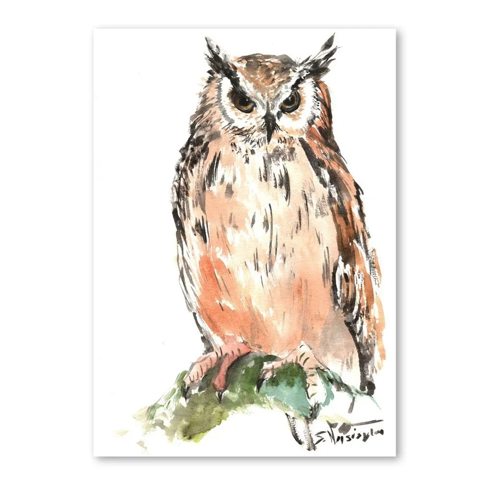 Autorský plakát Eagle Owl od Surena Nersisyana, 42 x 30 cm v:758438