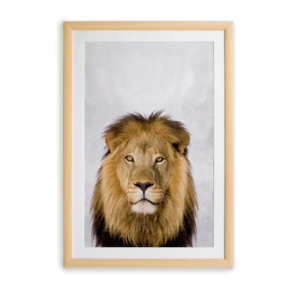 Nástěnný obraz v rámu Surdic Lion, 30 x 40 cm v:1336320