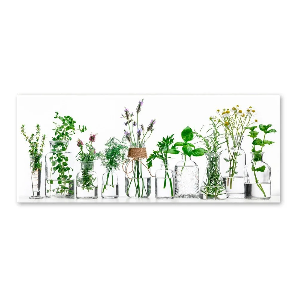 Obraz Styler Glasspik Herbs, 30 x 80 cm v:1234316